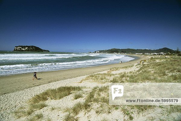 Strand an der Ostküste der Coromandel-Halbinsel  South Auckland  Nordinsel  Neuseeland  Pazifik