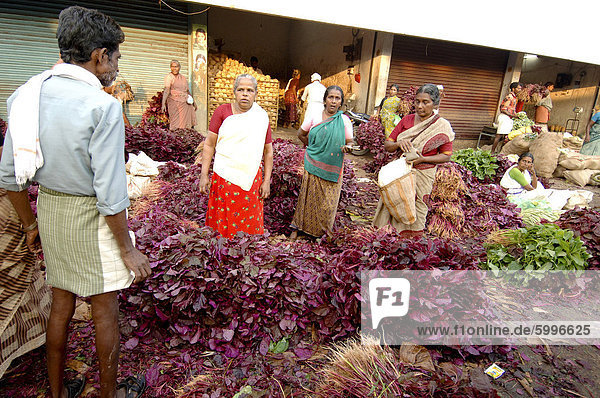 Spinat zum Verkauf am Gemüsemarkt  Chalai  Trivandrum  Kerala  Indien  Asien