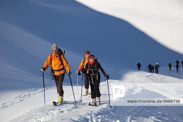 Ski mountaineering in the Dolomites  Pale di San Martino  Cima Fradusta ascent  Trentino-Alto Adige  Italy  Europe