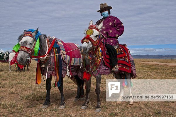 Horse rider on colourfuly dressed horse in the steppe of Western Tibet  China  Asia