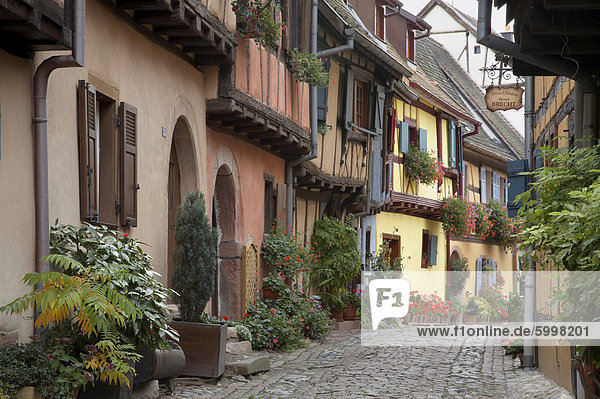 Frankreich Europa Tradition Gebäude Straße Dorf reizen Elsass Hälfte