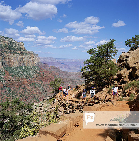 Hikers return from Canyon base  Grand Canyon  UNESCO World Heritage Site  Arizona  United States of America  North America
