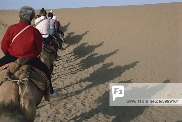 Schatten der Touristen auf Kamele  Dunhuang-Provinz  China  Asien