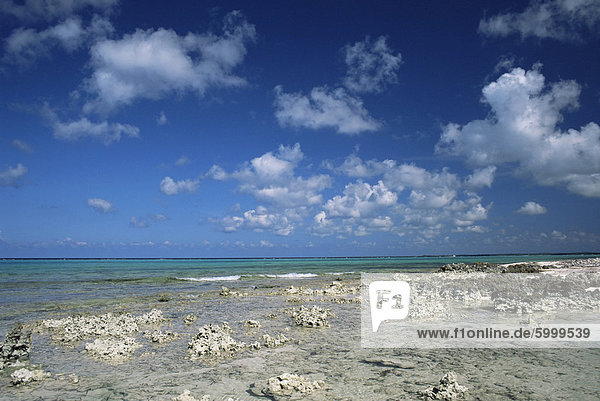 Felsiges Ufer  Grand Cayman  Kaimaninseln  Westindien  Mittelamerika