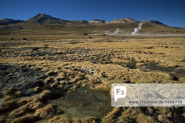 El Tatio Geysir  Atacama  Chile  Südamerika