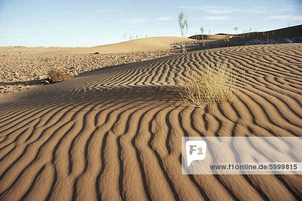 Die Wüste Sahara  Algerien  Nordafrika  Afrika