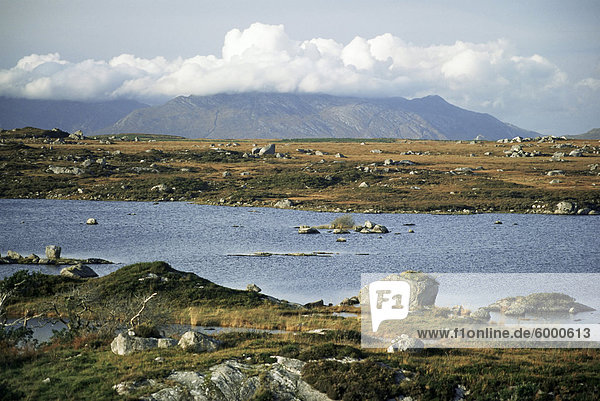 Die Twelve Pins (Benna Beola) Berge erheben sich über Loughans auf das Tiefland  Connemara  County Galway  Connacht  Eire (Irland)  Europa