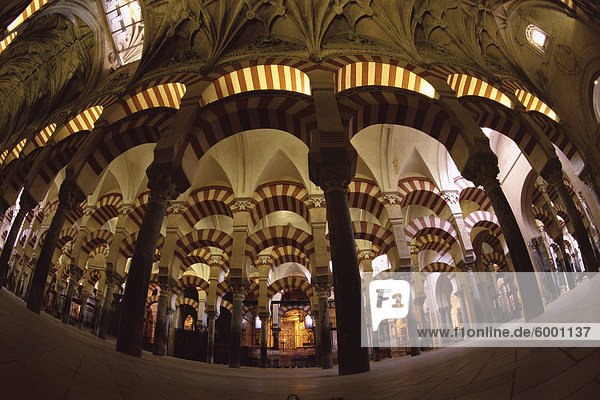 Innenraum der Moschee (Moschee)  UNESCO-Weltkulturerbe  beherbergt eine später christliche Kirche innen  Cordoba  Andalusien (Andalusien)  Spanien  Europa