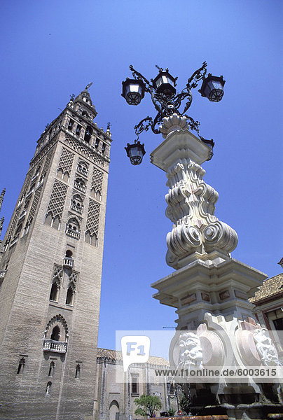 Dom  Glockenturm und Brunnen  Sevilla  Andalusien  Spanien  Europa