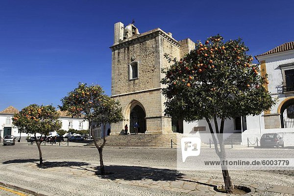 Orangenbäume wachsen außerhalb der Kathedrale (Se) in der alten Stadt von Faro  Algarve  Portugal  Europa