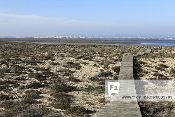 Eine Strandpromenade führt über Dünen von Ilha Deserta (Barreta) eine Insel in der Ria Formosa-Nationalpark Algarve Portugal Europa