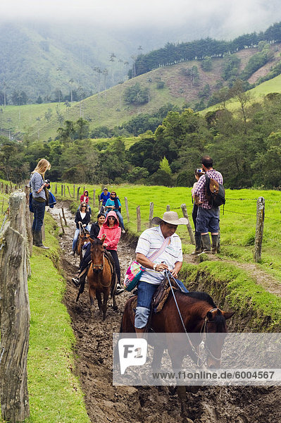 Horse riding in Cocora Valley  Salento  Colombia  South America
