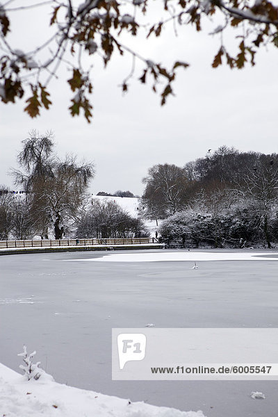 Teich  gefroren  Hampstead Heath  London  England  Vereinigtes Königreich  Europa