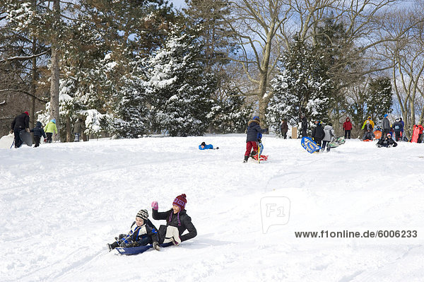 Children sledding in Central Park after a blizzard in New York City  New York State  United States of America  North America