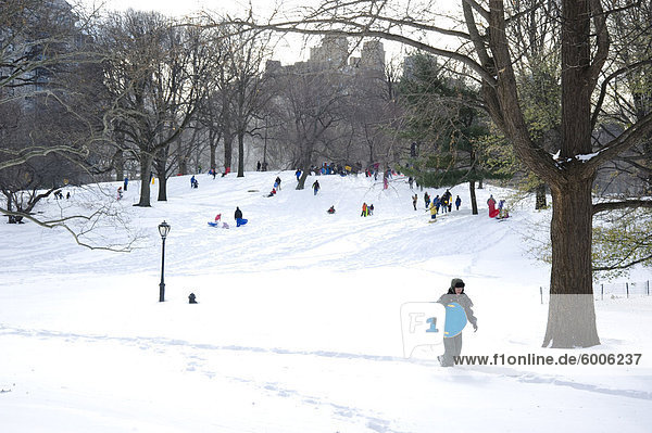 People sledding in Central Park after a snowstorm in New York City  New York State  United States of America  North America