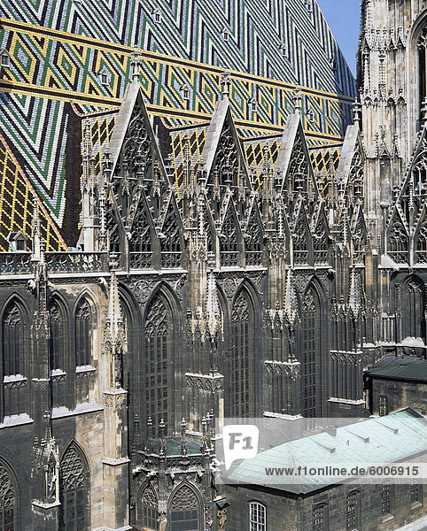 Stephansdom (Kathedrale von St. Stephan)  Wien  Österreich  Europa