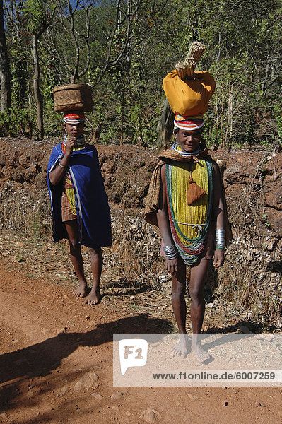 Bonda tribeswomen in traditional dress with beads  earrings and necklaces denoting their tribe  carrying basket and brushes to market  Onukudelli  Orissa  India  Asia
