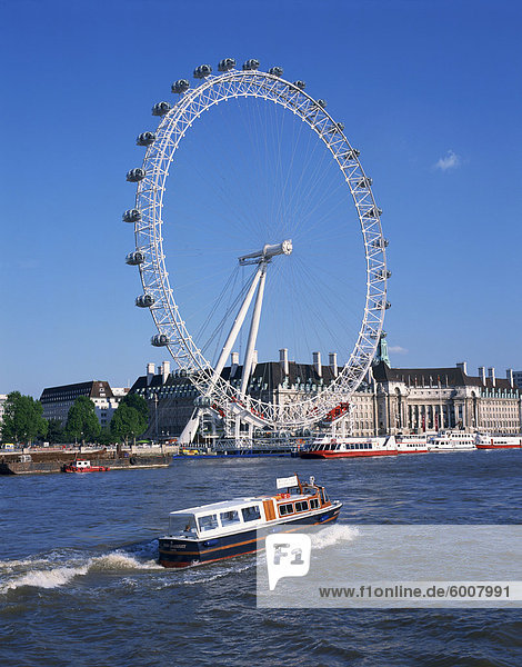 London Eye  London  England  Großbritannien  Europa