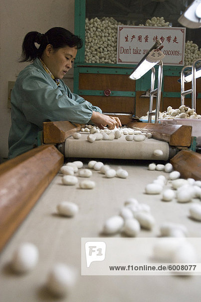 Suzhou Nr. 1 Silk Factory  Suzhou  Jiangsu Provinz  China  Asien