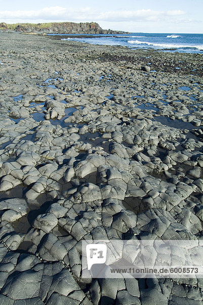 Djupalonssandur Strand  Snaefellsness Nationalpark  Island  Polarregionen