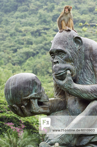 Monkey Island Forschung Park  Provinz Hainan  China  Asien