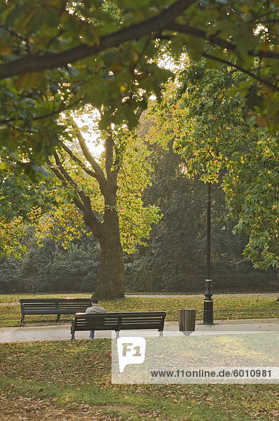 Herbst  Hyde Park  London  England  Vereinigtes Königreich  Europa