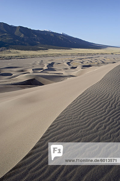 Sanddünen in der Morgendämmerung  Great Sand Dunes Narional Nationalpark und Preserve  Colorado  Vereinigte Staaten von Amerika  Nordamerika