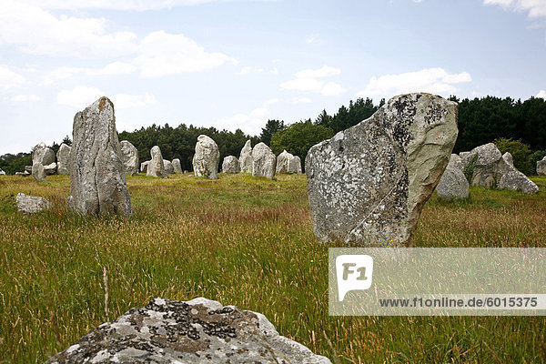 Megalithischen Steinen Ausrichtungen de Kremario  Carnac  Morbihan  Bretagne  Frankreich  Europa