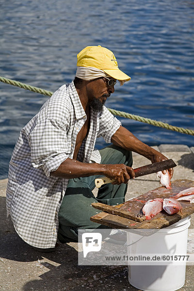 Fisherman at the Floating Market  Willemstad  Curacao  Netherlands Antilles  West Indies  Caribbean  Central America