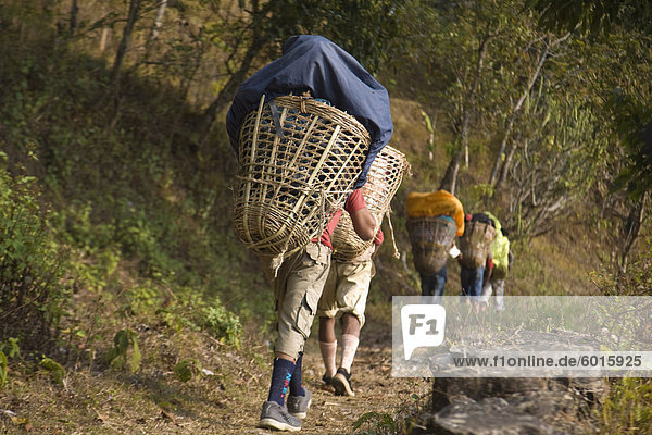 Porters on Royal trek  Pokhara  Nepal  Asia