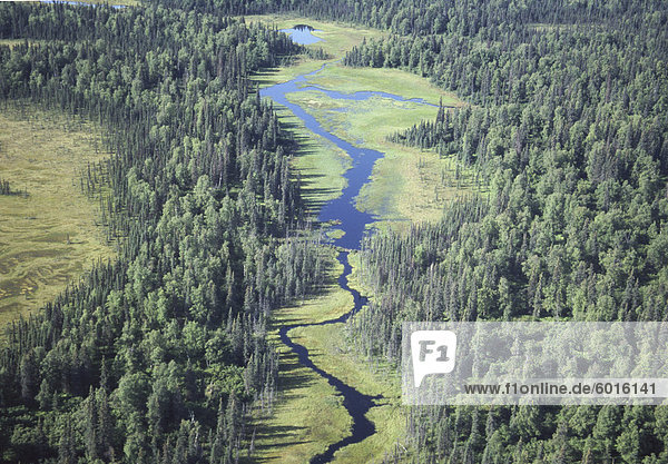 Luftbild von River  Denali Nationalpark  Alaska  Vereinigte Staaten von Amerika  Nordamerika