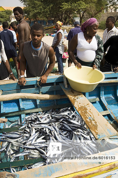 Frischer Fisch nur gefangen  Tarrafal  Santiago  Kapverdische Inseln  Afrika