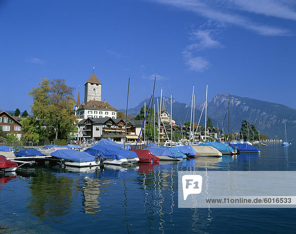 Boote über das Wasser und die Stadt von Spiez am See Thunersee im Berner Oberland  Schweiz  Europa