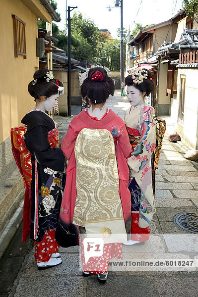 Geisha  Maiko (Geisha-Auszubildende) in Gion  Kyoto Stadt  Honshu  Japan  Asien