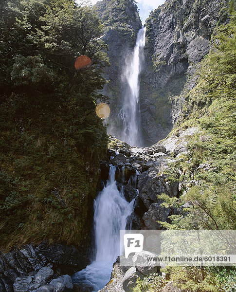 Devils Punchbowl Falls  131m high  on walking track in mountain beech forest  Arthur's Pass National Park  Southern Alps  Westland  South Island  New Zealand  Pacific