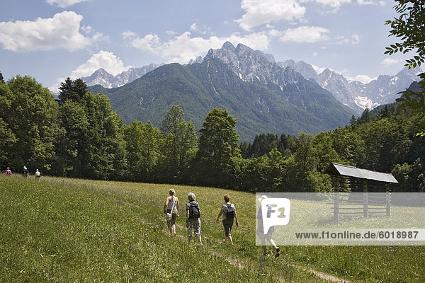 Walkers on path through flower meadow with typical hay rack in summer  Zgornjesavska valley  Julian Alps  Kranjska Gora  Dolina  Slovenia  Europe