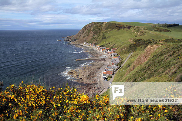 Crovie Aberdeenshire Schottland Vereinigtes Königreich Europa