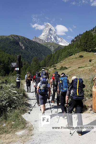 Hikers at Winkelmatten heading towards the Matterhorn  Zermatt  Valais  Swiss Alps  Switzerland  Europe