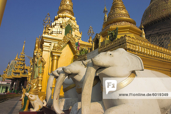 Elefanten Statuen und Schreine in Yangon (Rangoon)  Myanmar (Birma)  Shwedagon Paya  Asien