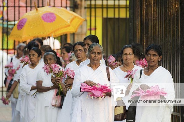 Prozession von weiblichen buddhistischen Anhänger mit Angeboten an die heiligen Tempel des Zahntempels Kandy Sri Lanka Asien