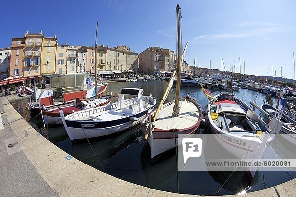 Angeln  Schiffe und Hafen  St. Tropez  Var  Provence  Cote d ' Azur  Frankreich  Mediterranean  Europa
