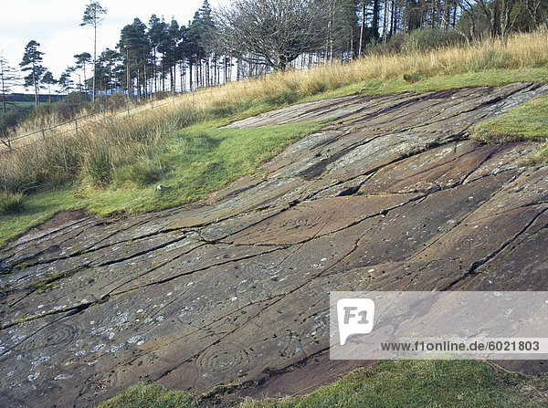 Tasse und Ring-Schnitzereien  die größte Cluster der prähistorischen Cup und Ring Schnitzereien in Großbritannien  Achnabreck  Kilmartin Glen  Argyll und Bute  Scotland  Großbritannien  Europa