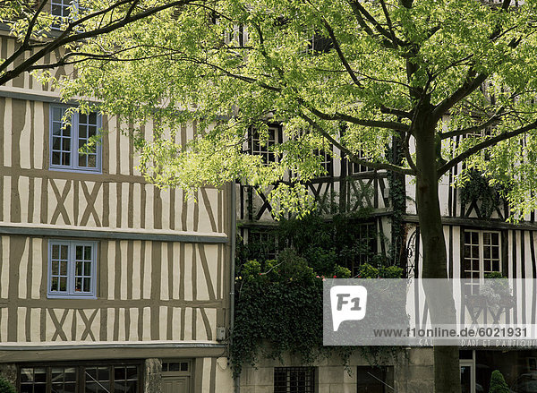 Frankreich Europa Gebäude Großstadt reparieren Rahmen Holz Rouen