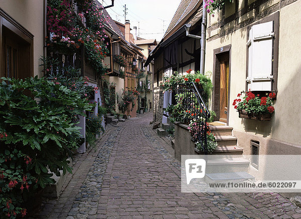 Eguisheim-Dorf  in der Nähe von Colmar  Haut-Rhin  Elsass  Frankreich  Europa