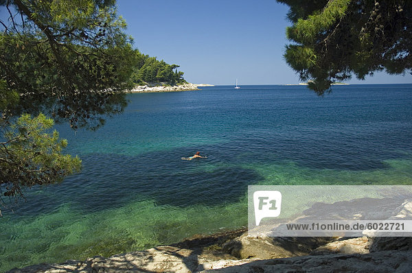Europa Frau Küste schwimmen Dalmatiner Kroatien Dalmatien