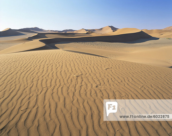 Sand dunes and dune sea  Sesriem  Namib Naukluft Park  Namibia  Africa