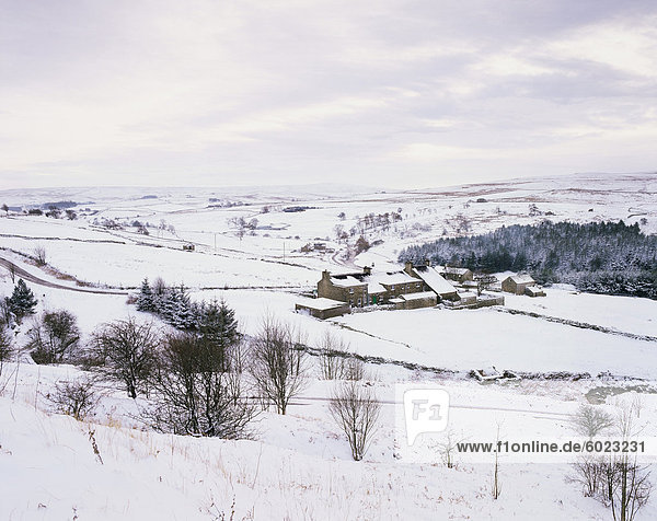 Verschneite Szene nahe Allenheads  Northumberland  England  Vereinigtes Königreich  Europa