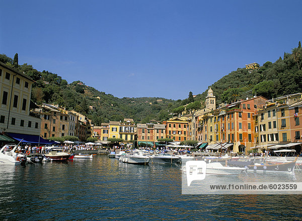 Pastellfarbenen Gebäude und Boote im Hafen  Portofino  Ligurien  Italien  Europa