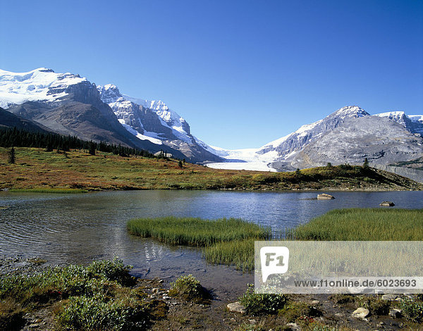 Athabasca Gletscher und Sunwapta Lake  Rocky Mountains  Jasper Nationalpark  UNESCO World Heritage Site  Alberta  Kanada  Nordamerika