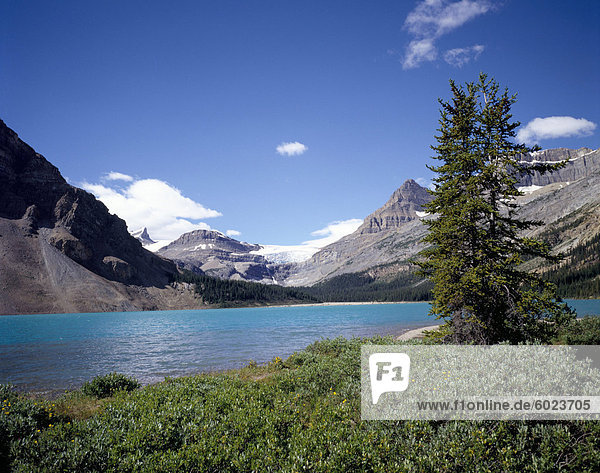 Bow Lake mit Bow Glacier hinter Icefields Parkway  Banff National Park  UNESCO World Heritage Site  Alberta  Kanada  Nordamerika